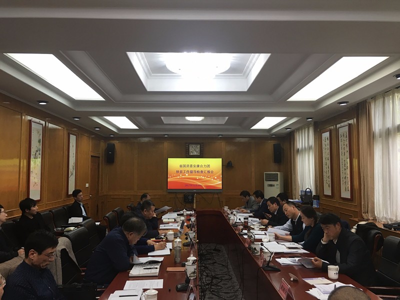陕西J9集团集团参与省国资委安康合力团扶贫工作督导查抄汇报会